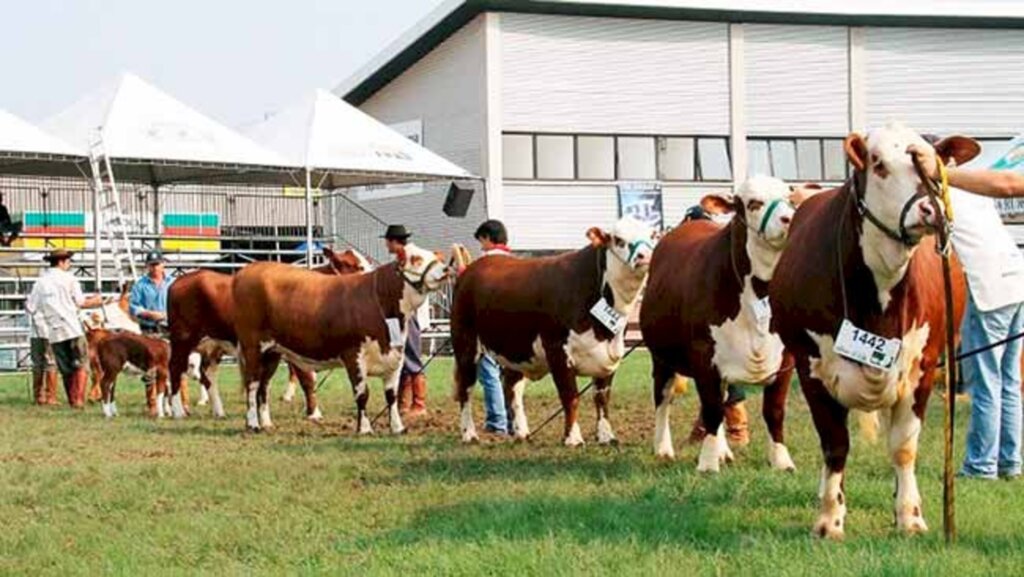 Vilmar da Rosa/Especial FS - Exposição acontece no Parque Assis Brasil