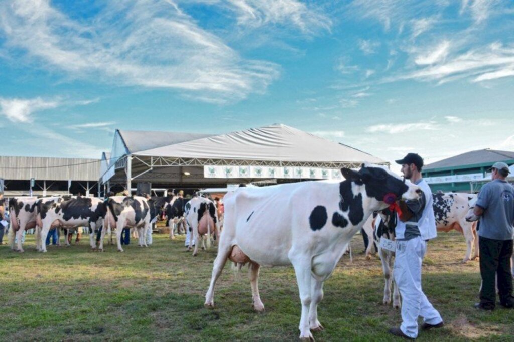 Expoleite Fenasul retorna este ano