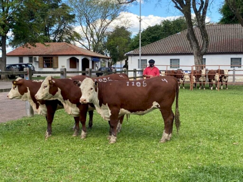 Estância bageense é premiada em Dom Pedrito