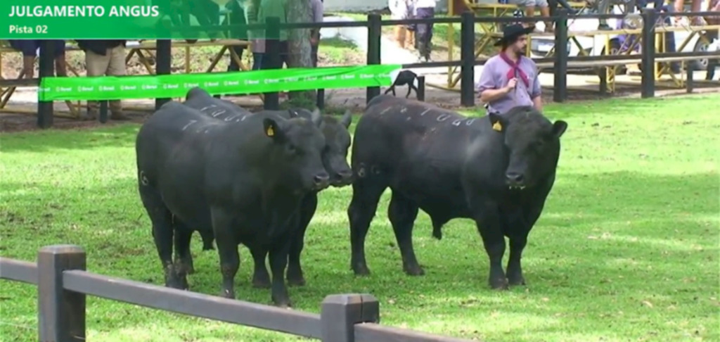 Formosa, Recalada e Ouro Preto levam os prêmios da Expofeira