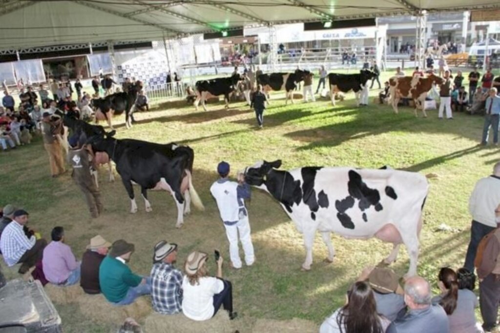 Reprodução/Internet - Ponto alto da participação da raça é o momento da exposição dos animais