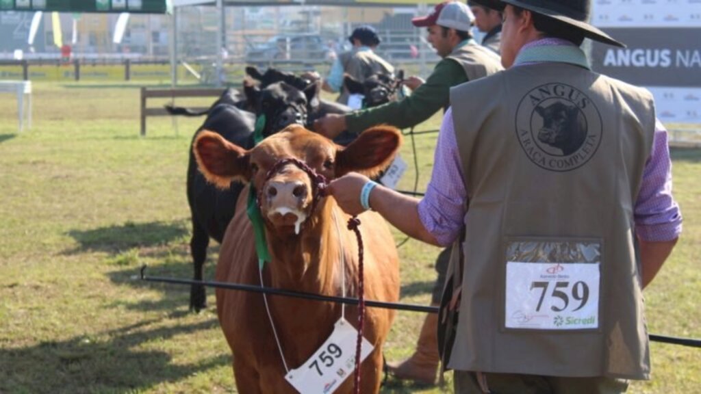 Reprodução/Internet - Raça é um dos atrativos na feira agropecuária