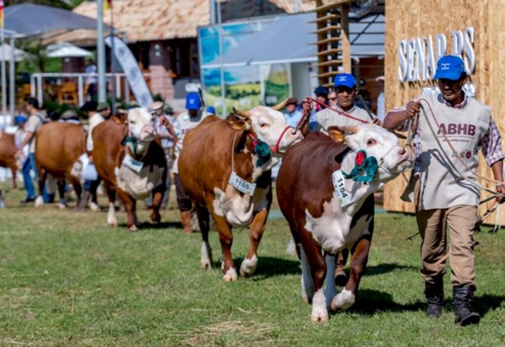 Zzn Peres/Especial FS - Raça é uma das maiores representações na feira agropecuária