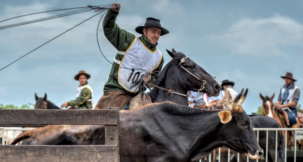 Crioulaço abre o calendário de finais da raça Crioula