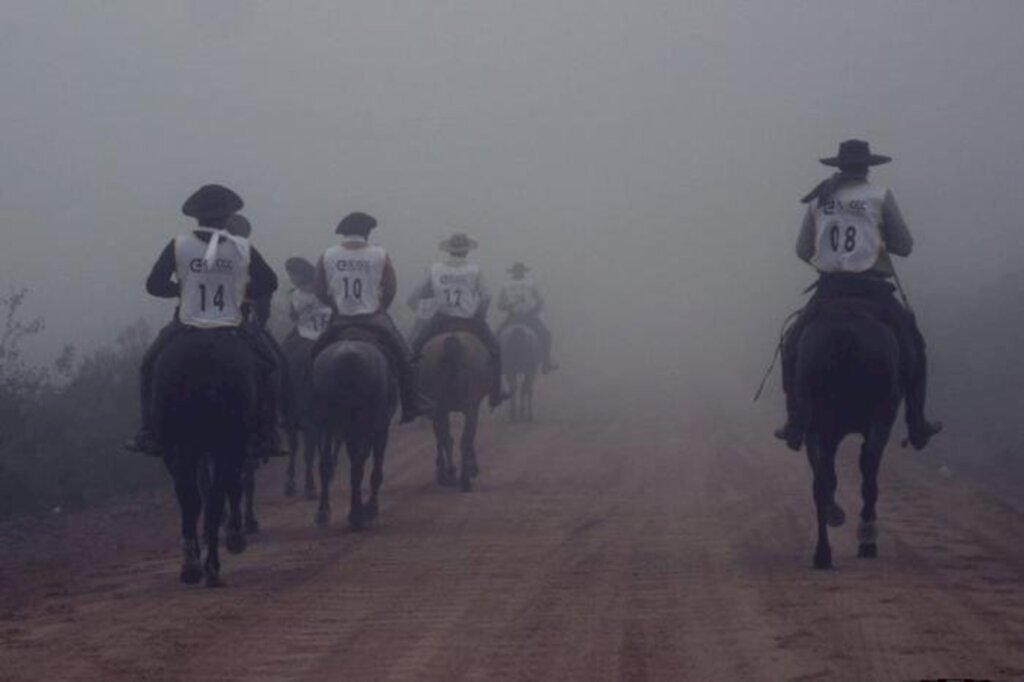 Marcha da Resistência do cavalo Crioulo terá novidades