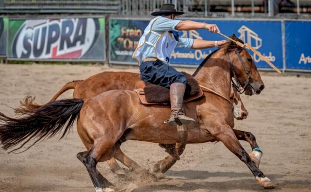 Competição leva para pista quem lida com cavalo Crioulo