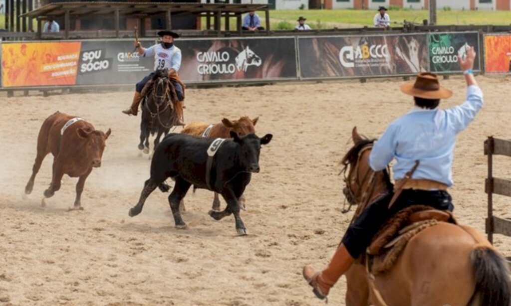 Aptidão vaqueira dos competidores é colocada a prova