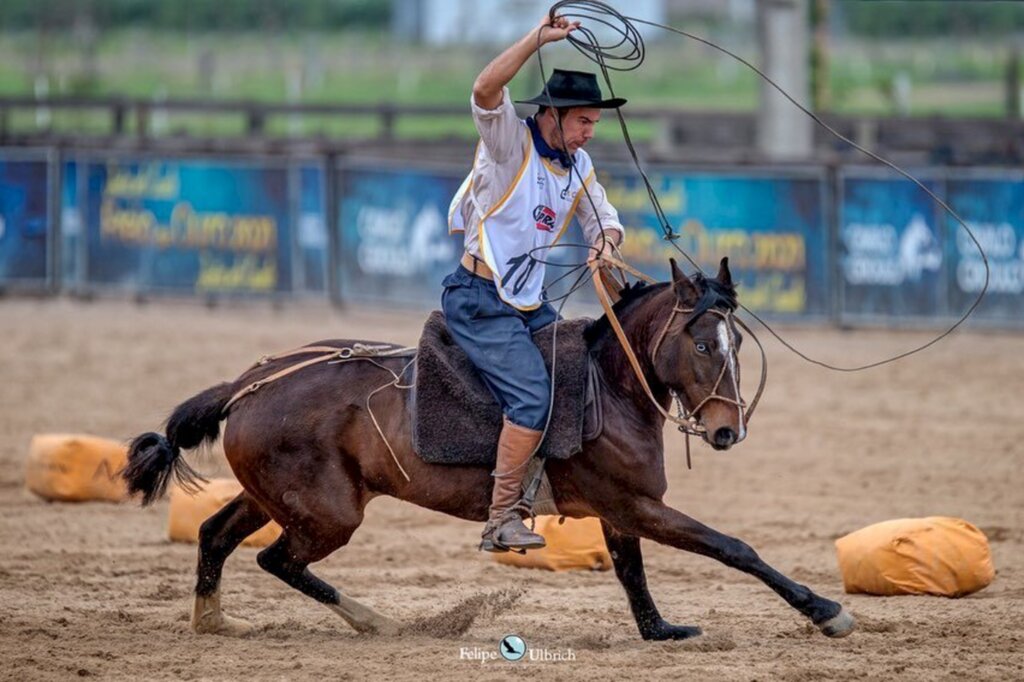 Finais do Cavalo Crioulo valorizam o trabalho dos domadores