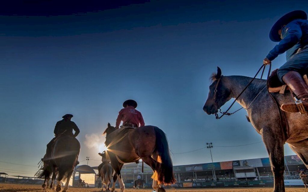 Campeonatos do Cavalo Crioulo são uma festa a parte na Expointer