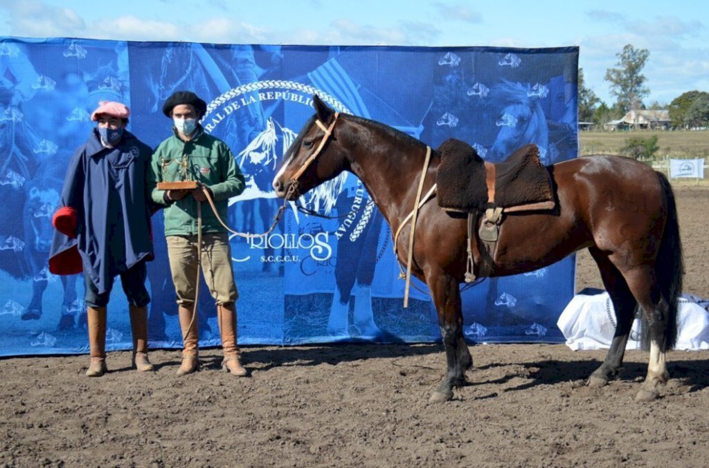 Divulgação - Égua foi a grande campeã na categoria fêmeas