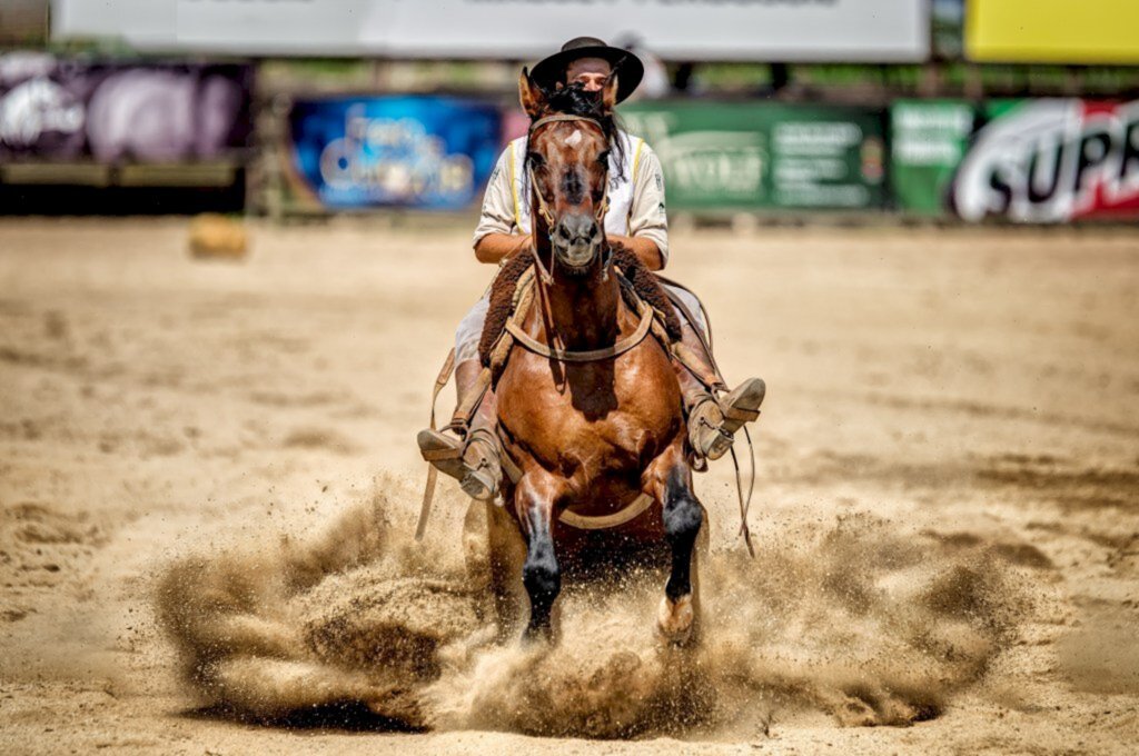 Felipe Ulbrich/Especial FS - Cavalo crioulo mostra toda sua performance no Parque Assis Brasil