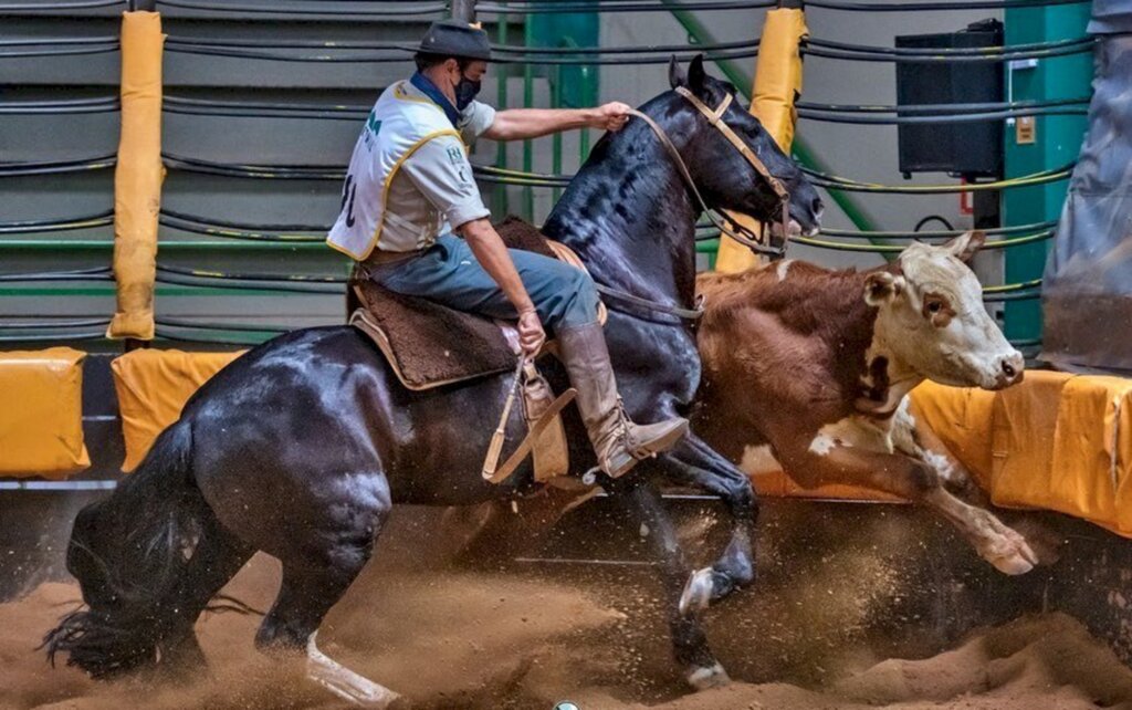 Felipe Ulbrich/Especial FS - Provas ocorreram no Parque Assis Brasil em Esteio