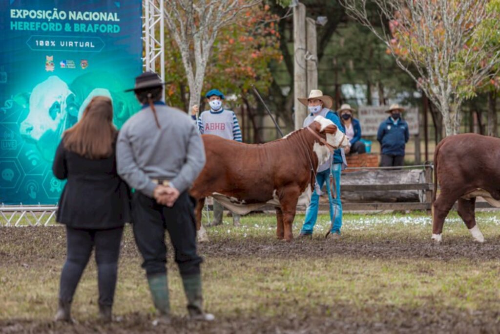 Gustavo Rafael/Especial - Exposição irá acontecer no parque da Associação e Sindicato  Rural