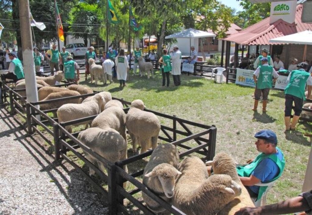 Divulgação/Arco - Animais de todo o Estado participam da feira