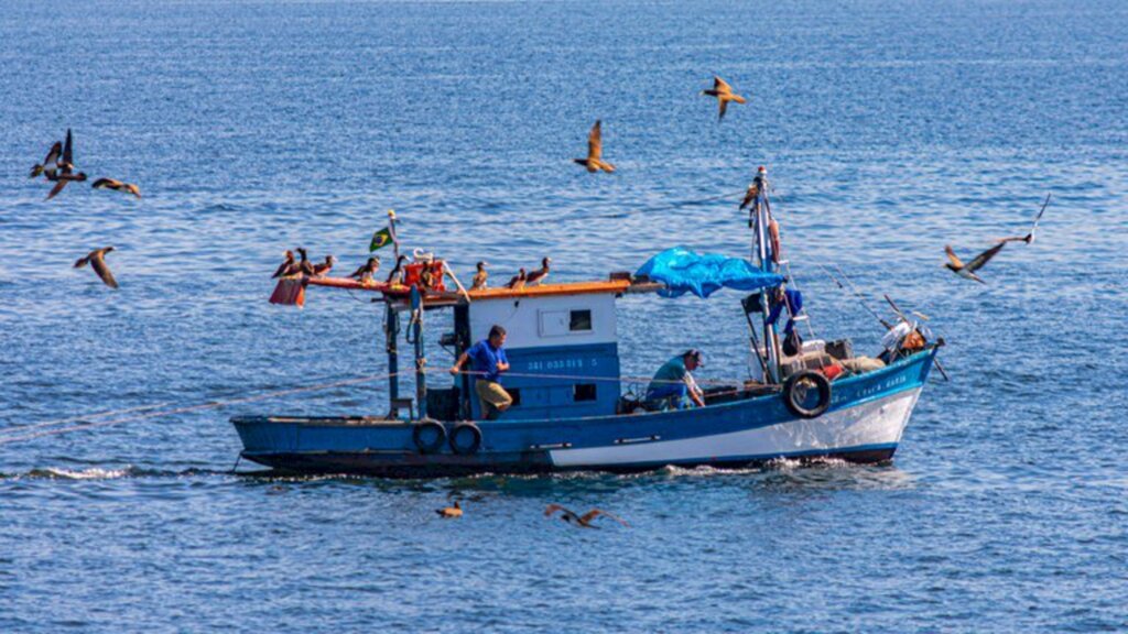 Pescadores profissionais tem que fazer cadastramento