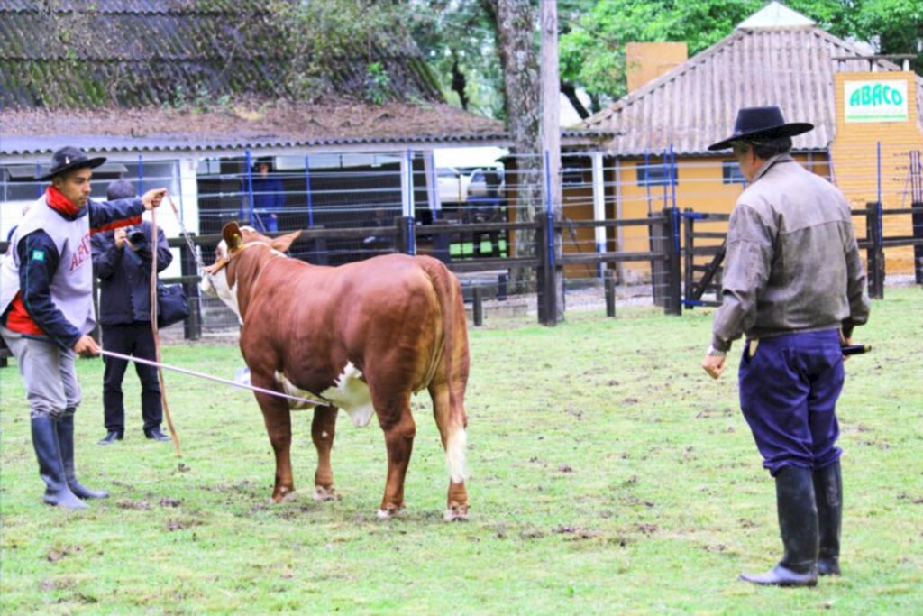 Dhésika Vidikin/Especial FS - Pujança dos animais atrai olhares de compradores e visitantes