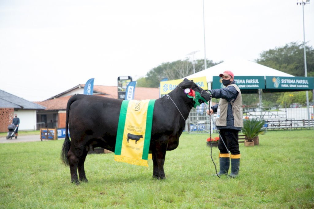 Grande Campeã tem cota comercializada por R$ 40,5 mil