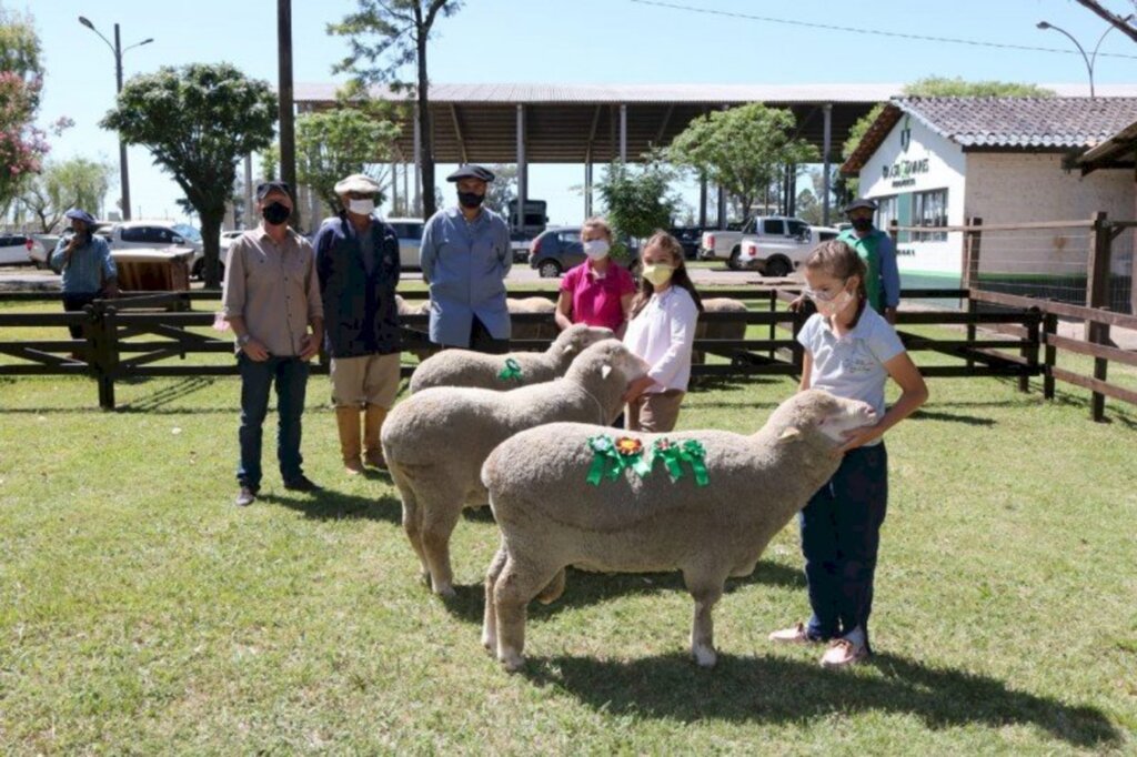 Aline Sabedra/Especial FS - A 13ª Agrovino de Bagé deste ano foi apoiada  pelo Fundovinos