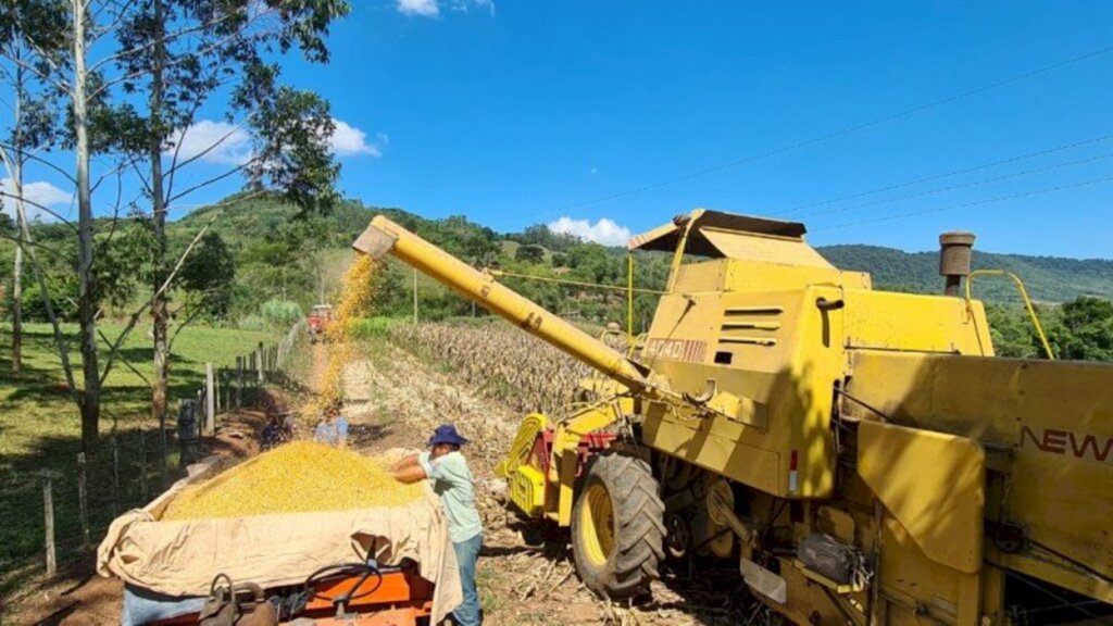 Divulgação/Emater - Reposição parcial de umidade nos solos beneficiou as lavouras