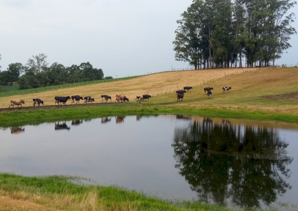 Agricultura e pecuária familiar pedem socorro