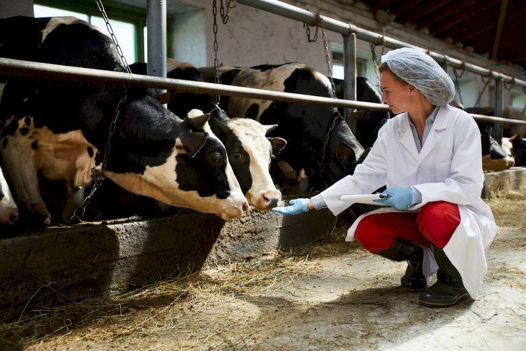 Campanha alerta para os cuidados no uso de antimicrobianos