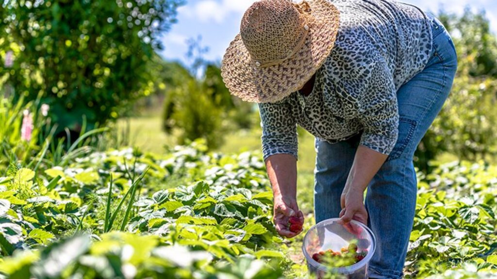 Fetag e Incra discutem demandas da agricultura familiar