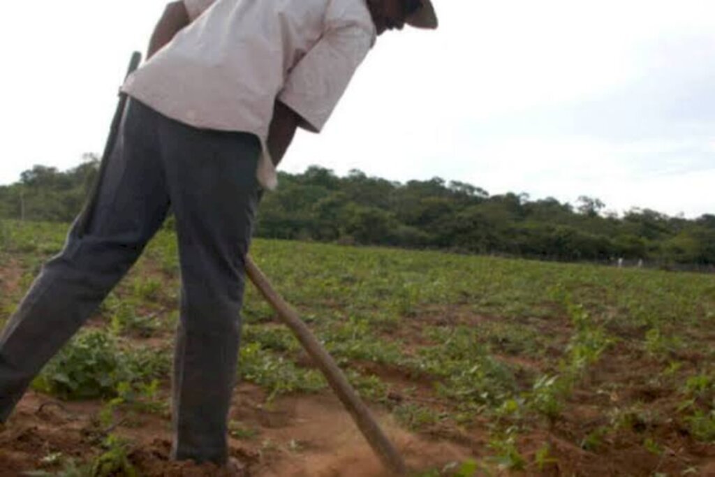 Agricultura alerta sobre nova onda de golpes