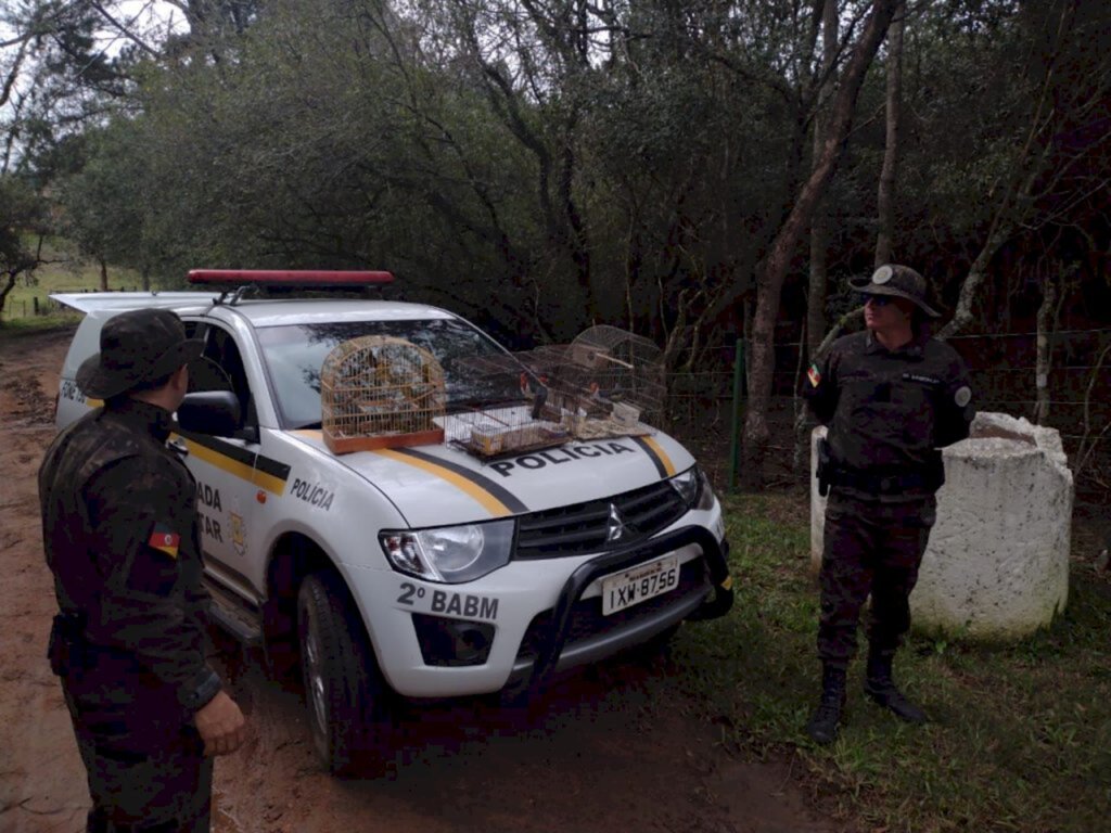 Policiais flagram pássaros em cativeiro