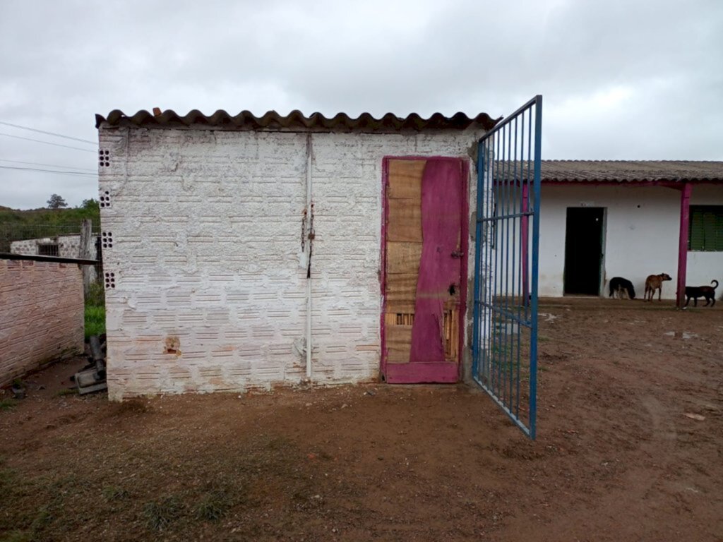 Divulgação - Canil - distante cerca de seis quilômetros da cidade - abriga 200 cães