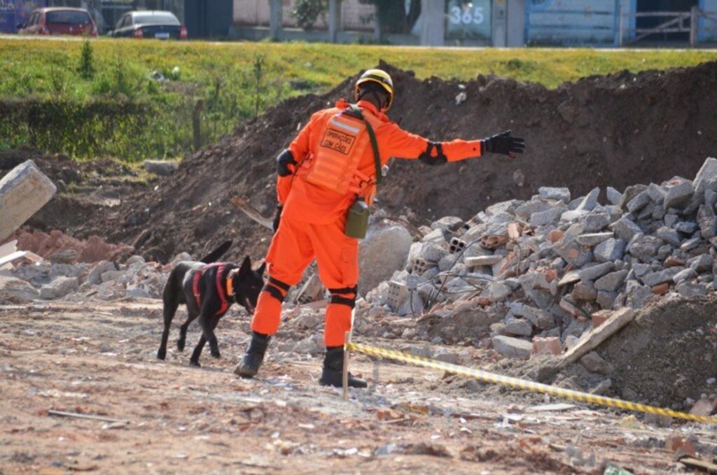 Bombeiros gaúchos e cães irão auxiliar em Petrópolis