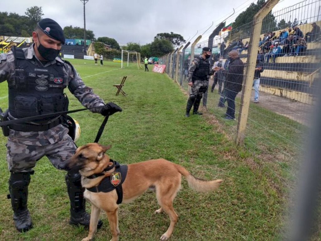 Cão Kovu estreia no  Ba-Gua