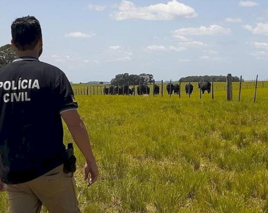 Polícia Civil deflagra Operação Bento Rengo e cumpre 5 prisões por abigeato em Bagé