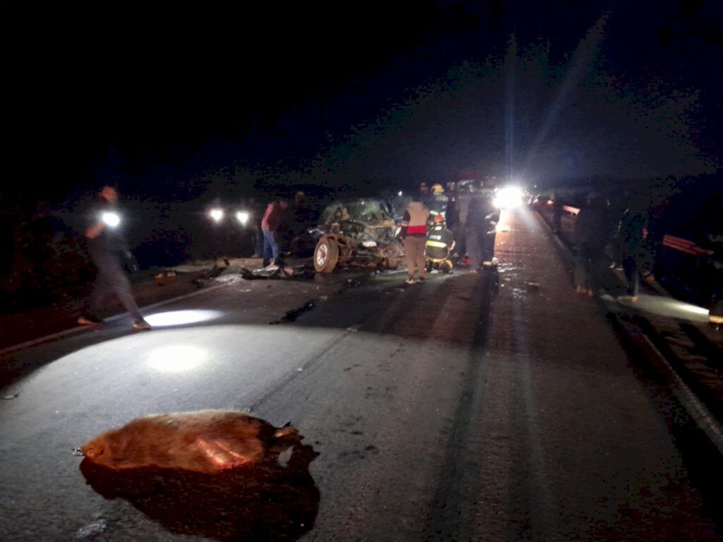 Divulgação - Duas caminhonetes se chocaram de frente na rodovia