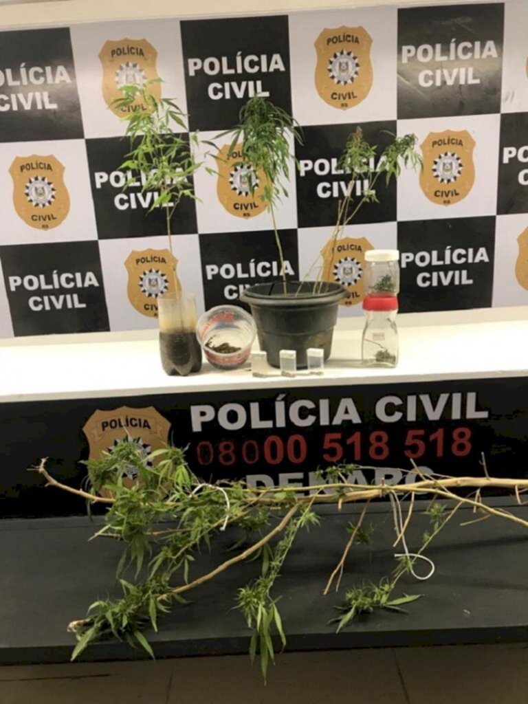 Funcionário público é preso porplantio de maconha