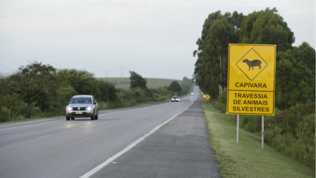 Nauro Júnior/Satolep Press - diversas ações para dar suporte aos motoristas