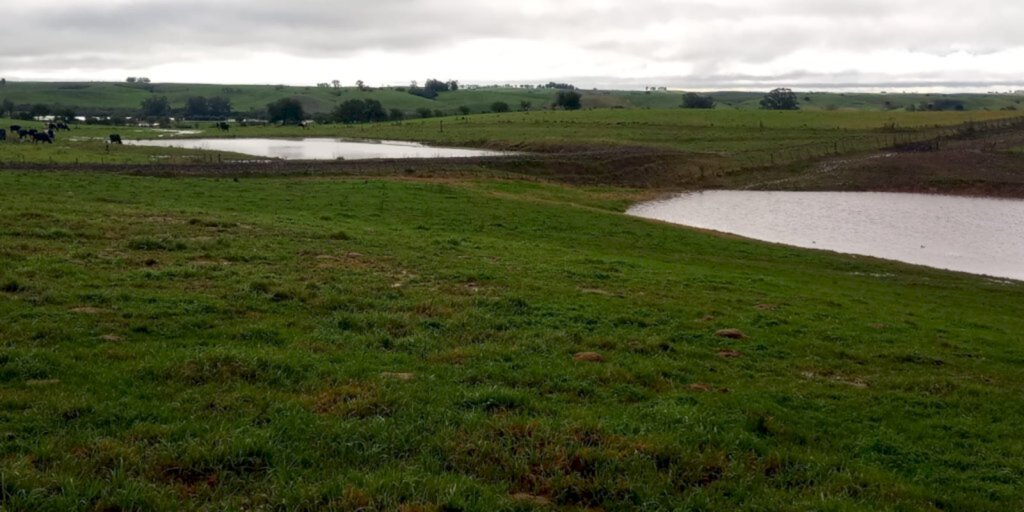 Excesso de chuva prejudica agricultura familiar