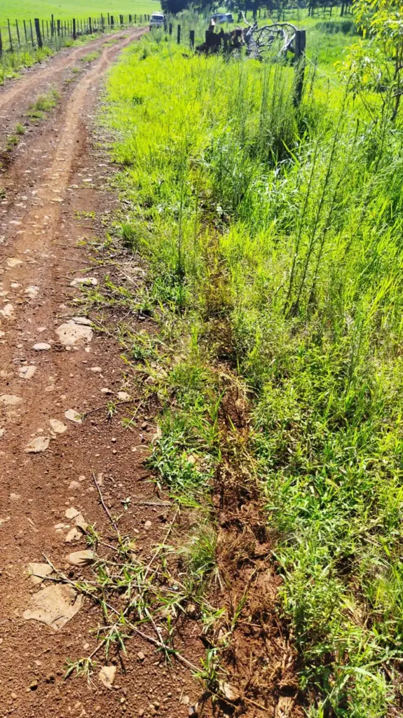  - Vítima teve corpo esmagado durante a fuga de suspeito — Foto: Polícia Civil/Divulgação