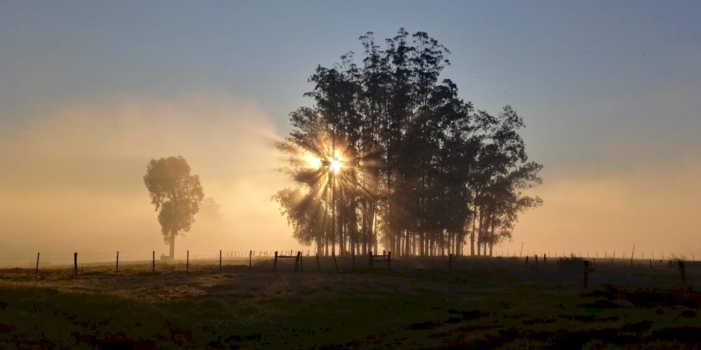 PIB do Rio Grande do Sul tem queda de 3,8%