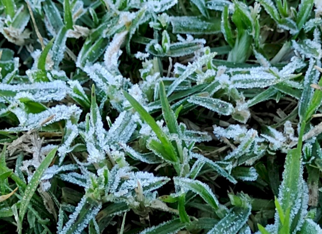 Niela Bittencourt - Mínima deve chegar a 0°C no sábado