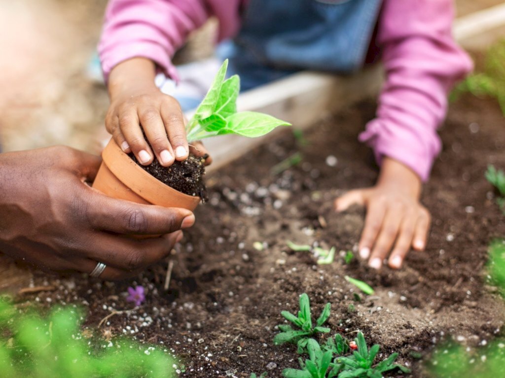 Unipampa abre inscrições para curso Educação do Campo