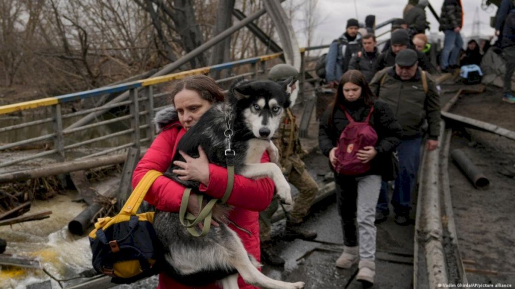 Amor pelos animais: uma lição para o mundo