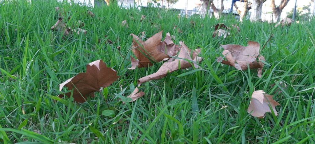 Primeira onda de frio chega no sábado