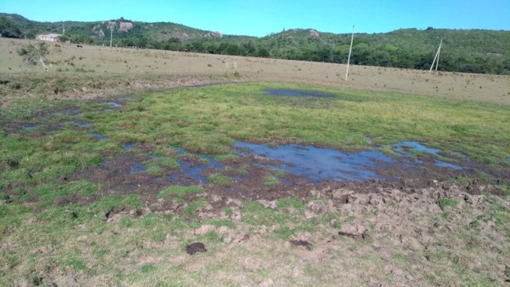 Produtores da beira do Camaquã amargam prejuízos e projetam próximos meses