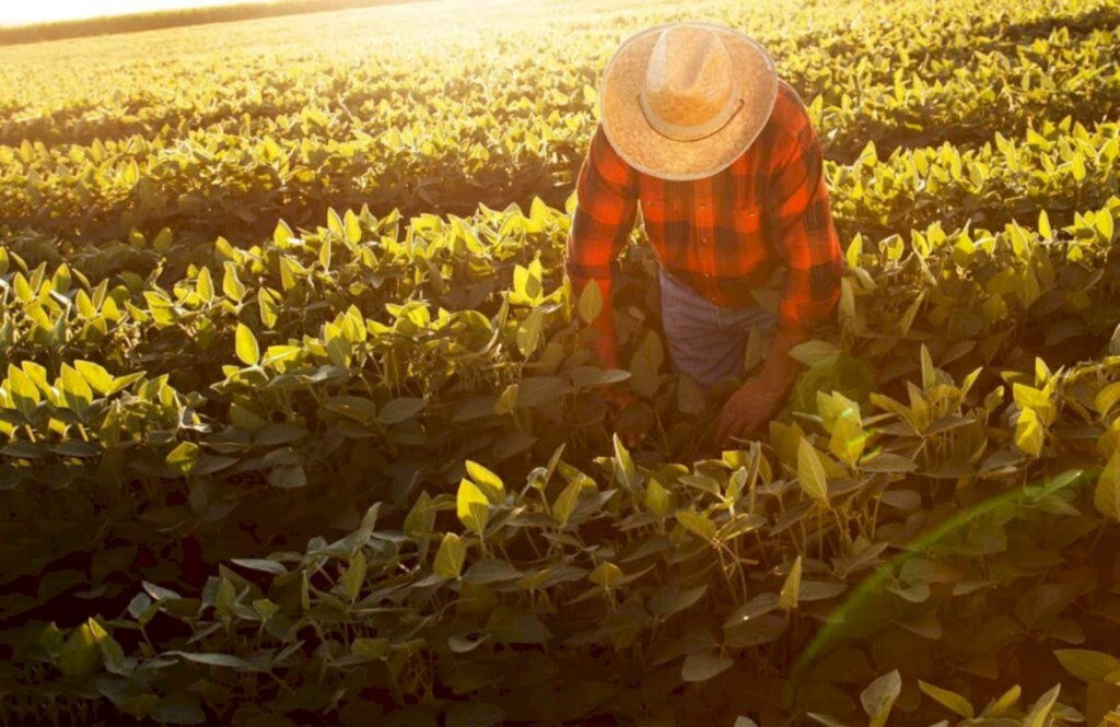 Reprodução/FS - Material informativo terá foco no homem do campo