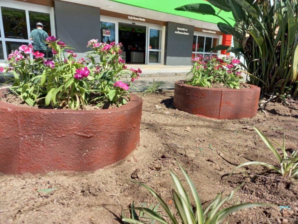 Divulgação - Mudas foi plantadas no canteiro na avenida General Osório