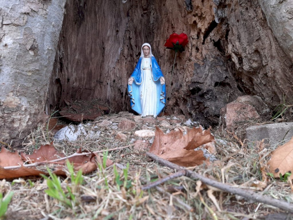 Márcia Sousa - Responsável é devota de Nossa Senhora das Graças