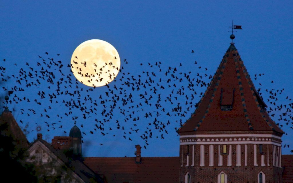 Superlua é destaque neste início da semana