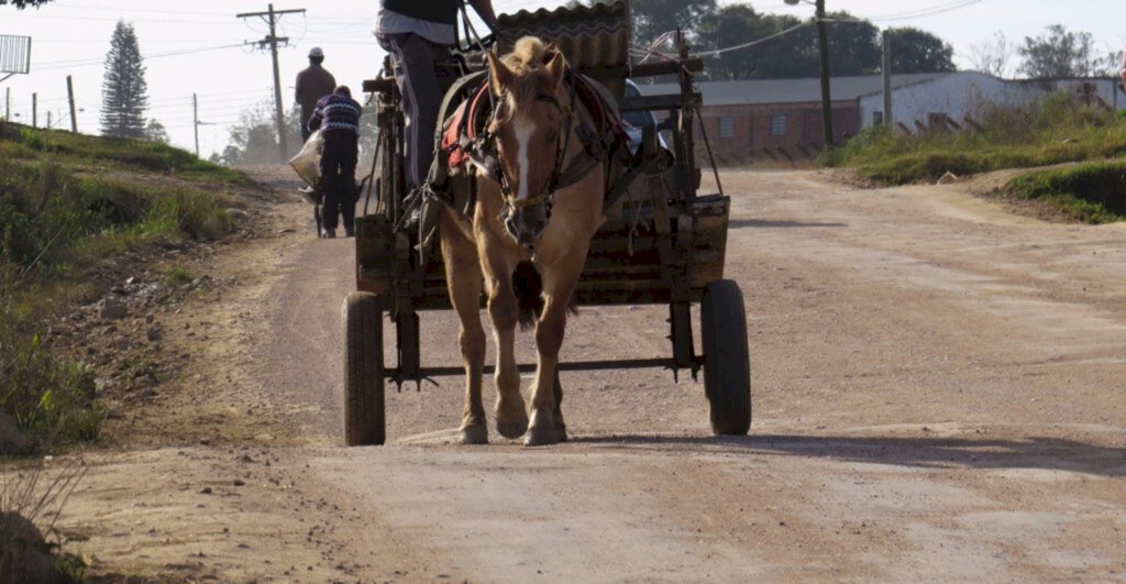 Vereadora quer extinguir o uso carroças na cidade