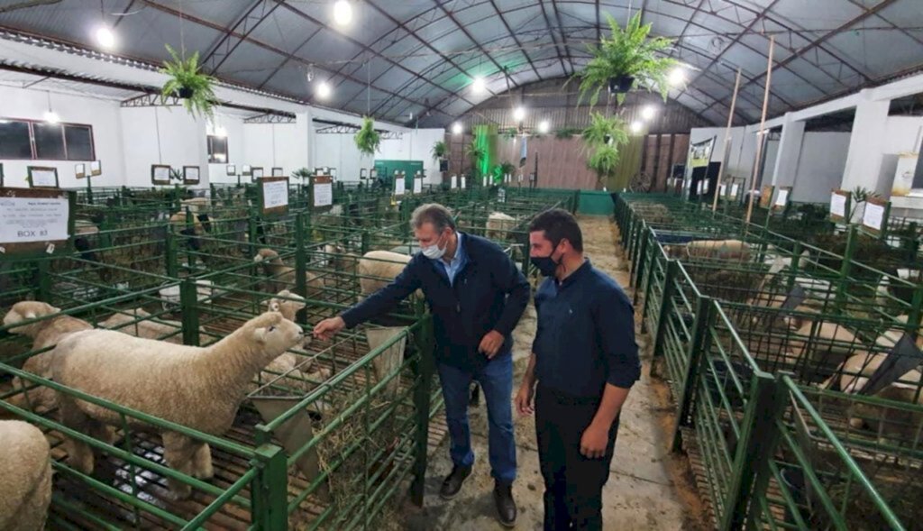 Divulgação - Parlamentar conferiu os exemplares participantes da mostra