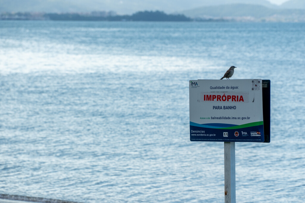 Relatório de balneabilidade traz 123 pontos próprios para banho no Litoral catarinense